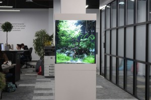 Office aquarium