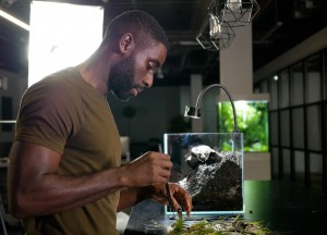 Spreading the word and vision for ViDERE