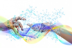 Image credit: Pixabay