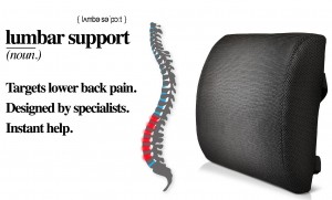 Mr. Sami LTD launch of premium lumbar support cushion