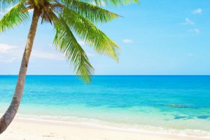 5E4294DF 878E 4654 9420 10C60ECECD67