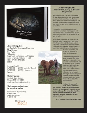 Info sheet Awakening Awe