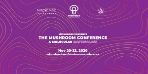 eventbrite 2160x1080