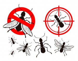 pest control logos