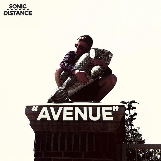 Avenue Avenue