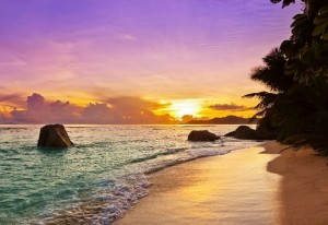 939C39CC F7D6 467F AB25 3D981F98F102