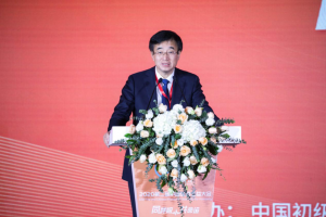 Wang Chen, the academician of Chinese Academy of Engineering