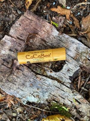 Amanda Lavery, entrepreneur and CEO of CoCaBee, Canadian Skin Care brand famous for the Antibacterial Lip Balm.
