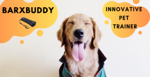 BarxBuddy Review 680x350