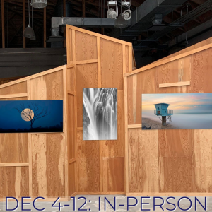 Artlita, a Contemporary Art Gallery, Announces Pop Up Exhibition 'Sharing the Light': Dec 3-13