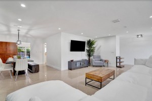 pauls open area pic1