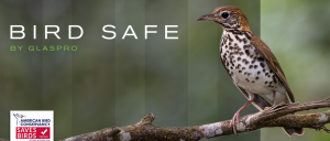 Bird Safe page banner 09 20