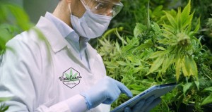 Adobe 20201014 173041