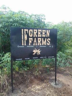 IMG 20170524 WA0004 768x1024