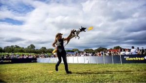Disc dog magic!