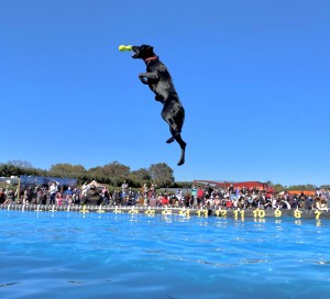 Melina soars through the air at dock diving!