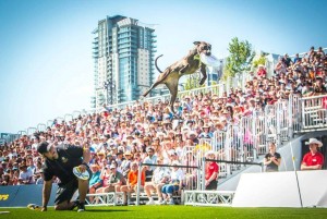 The crowd goes wild as Bootzilla shows off those high jumping skills!