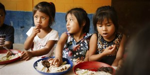 Automobile and Henry Fords Assembly Line and Business Plan