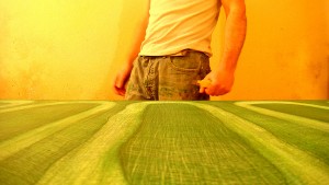 Lally with Million Green 01 in 2007