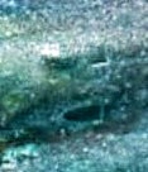 PSX 20201219 144657 2