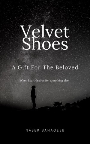 Velvet Shoes by naser banaqeeb