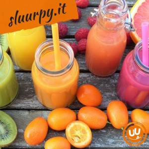 Sluurpy: the restaurant’s search engine that there is