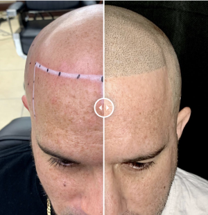 Screen Shot 2020 12 23 at 12 08 18 PM