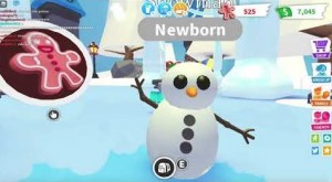 adopt me winter update