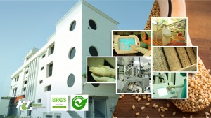 HL Agro Sesame Production Unit