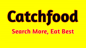 CatchFood 5