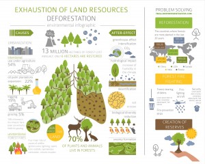 Stop Deforestation Infographic