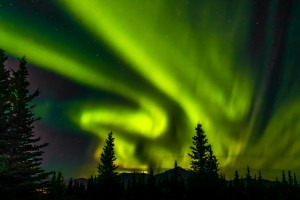Aurora Small
