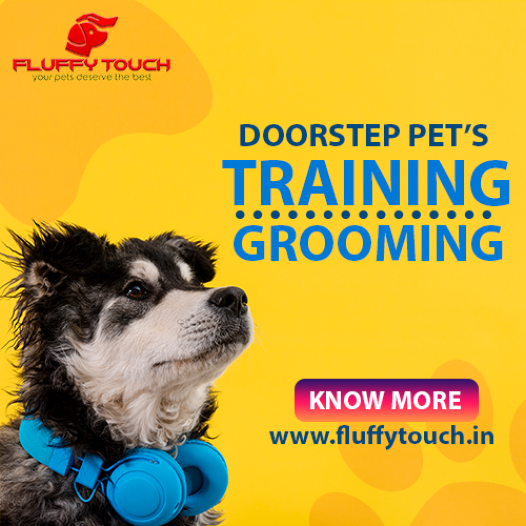Fluffy Touch Pet's Grooming & Training at Doorstep IssueWire