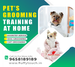 Fuffy Touch ad 1000 x 900