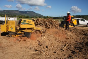 Stump grinding home page first pic ntuxovnh34no3fm43ex83y93bovxwkkf9tgfum8fsw