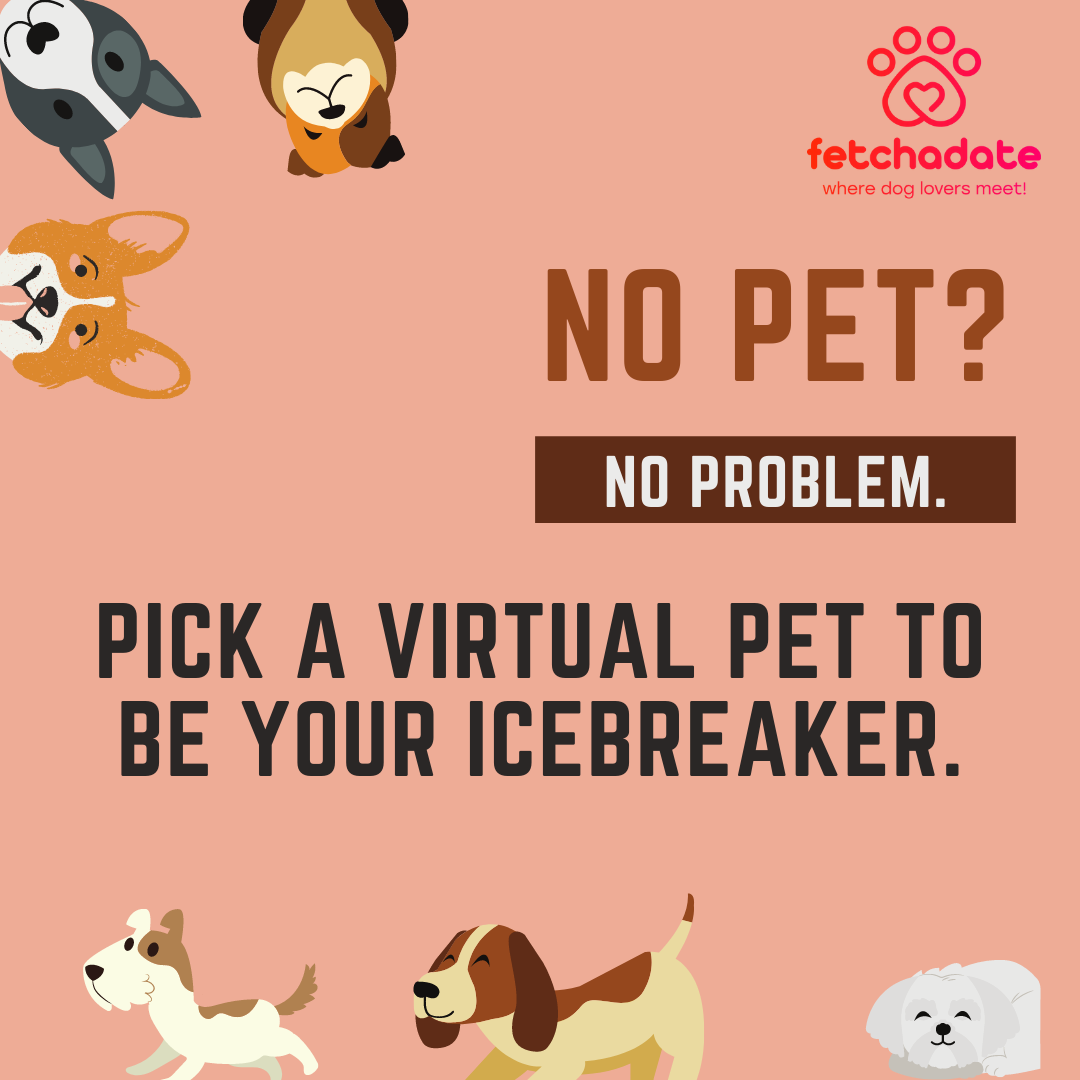 No pet  No problem