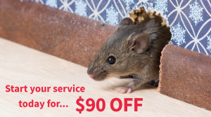 January 2021 Special