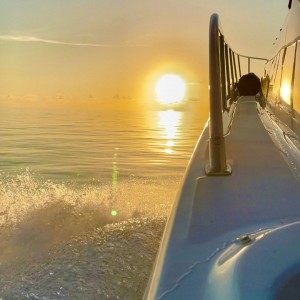 Poseidon Charters Tci