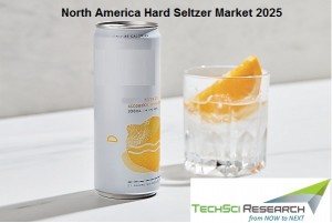 North America Hard Seltzer Market