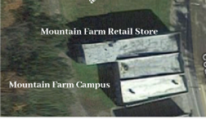 EDGE THRIVE project trainees summer 2020 in McDowell County