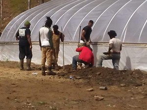 EDGE Training in High Tunnel Production