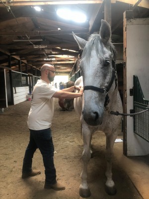 horsepic