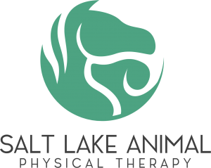 Logo 02