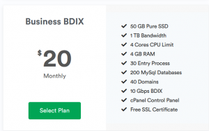 Business BDIX