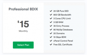 Professional BDIX