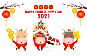 Chinese Spring Festival