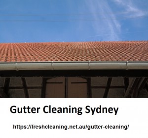 Gutter Cleaning Sydney 12