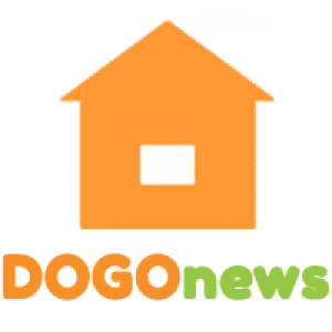 DOGOnews