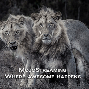 Mojo, MojoStreaming