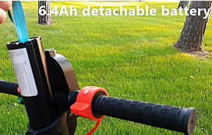 LEOWAY 2WD E-Scooter – E-King of the Urban Jungle!